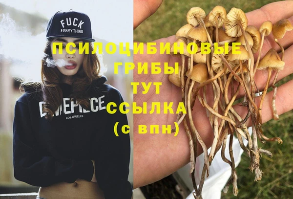 кокаин премиум Горнозаводск