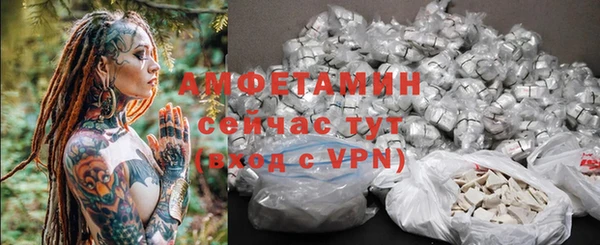 ГАЛЛЮЦИНОГЕННЫЕ ГРИБЫ Горно-Алтайск